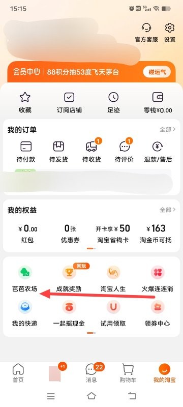 闲鱼上怎么用淘宝帐号买东西呢