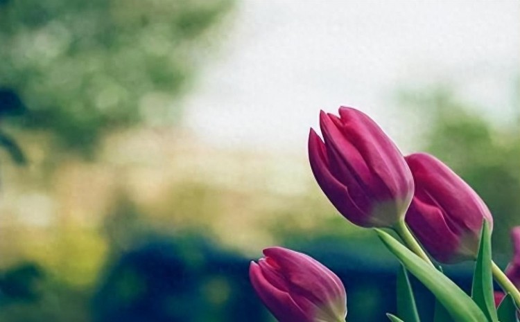 微信爱情大揭秘:谁最关注你的一举一动!