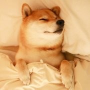 什么是最适合初学者的自媒体平台？